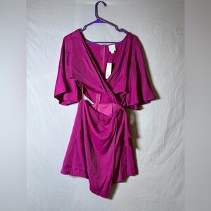 Francesca's Collections Fuchsia Dress